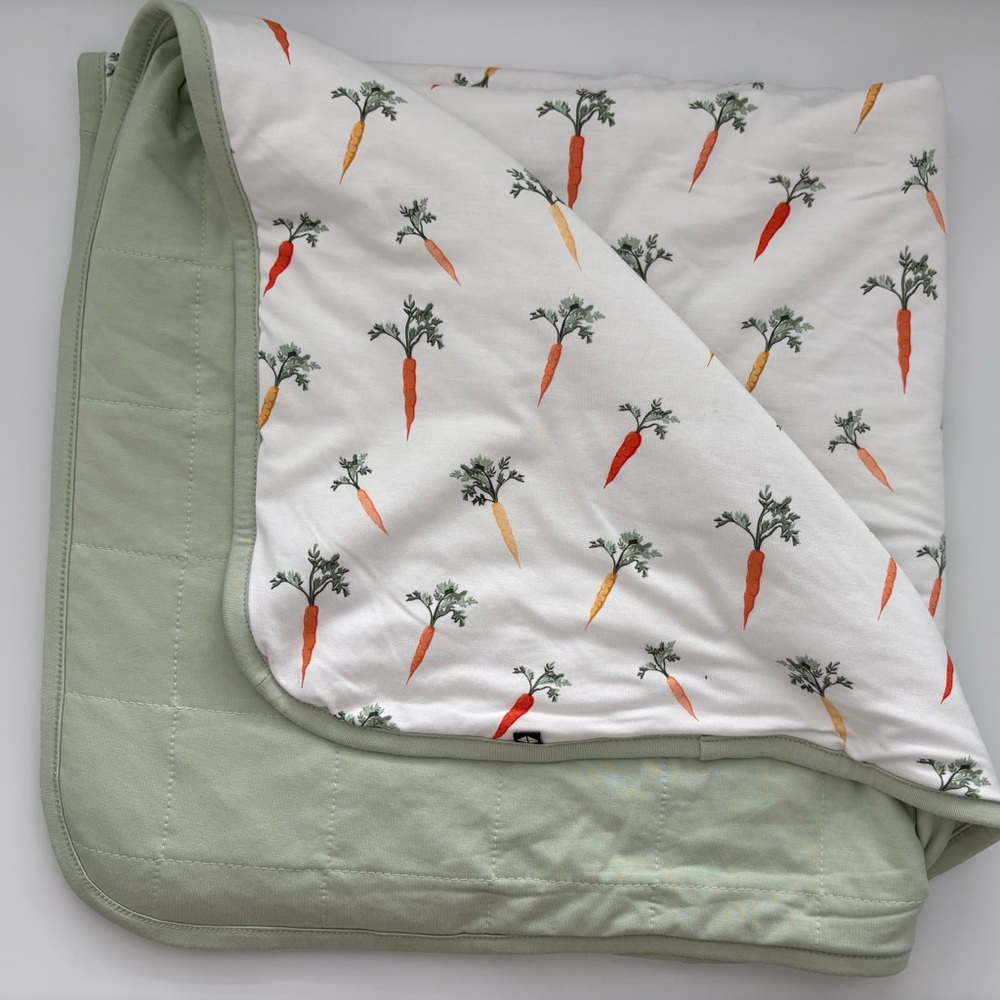 Kyte BABY Blanket 1.0 in Carrot